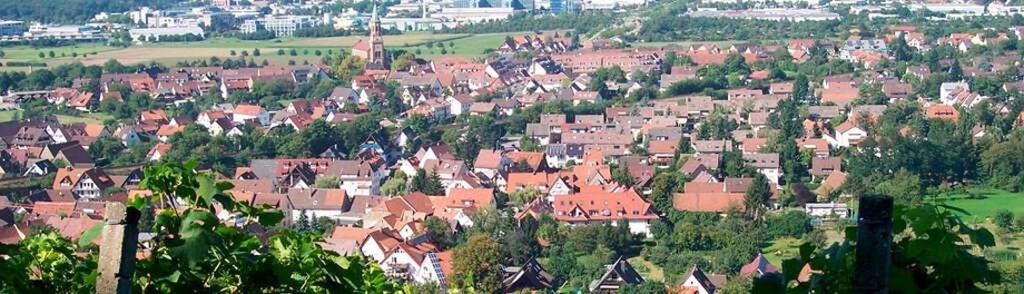 BZ-Stadtteilcheck: St. Georgen BZ-Stadtteilcheck: St. Georgen