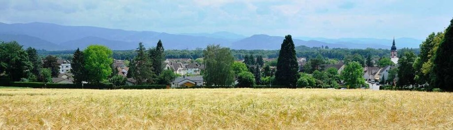 BZ-Stadtteilcheck: Hochdorf BZ-Stadtteilcheck: Hochdorf