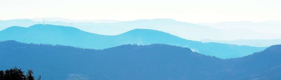 Der Schwarzwaldverein feiert einen runden Geburtstag Der Schwarzwaldverein feiert einen runden Geburtstag