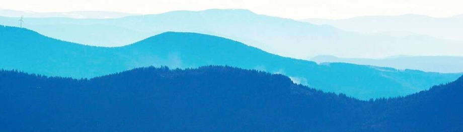 Der Schwarzwald – mehr als Wald und Bäume Der Schwarzwald – mehr als Wald und Bäume