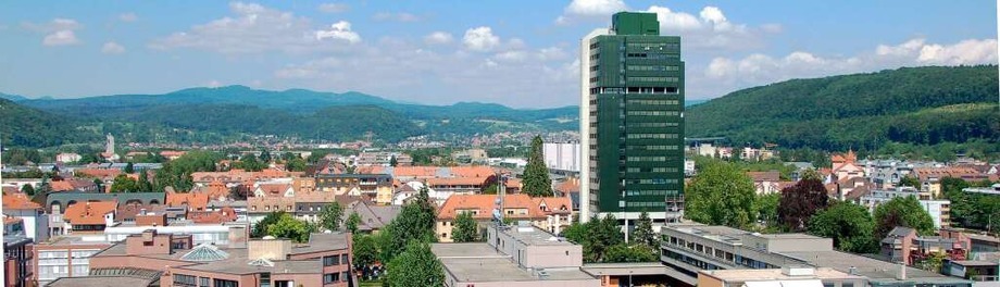 OB-Wahl 2014: Kampf um das Lörracher Rathaus OB-Wahl 2014: Kampf um das Lörracher Rathaus