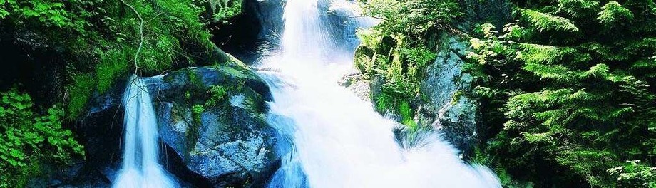 Wasserfälle im Schwarzwald Wasserfälle im Schwarzwald