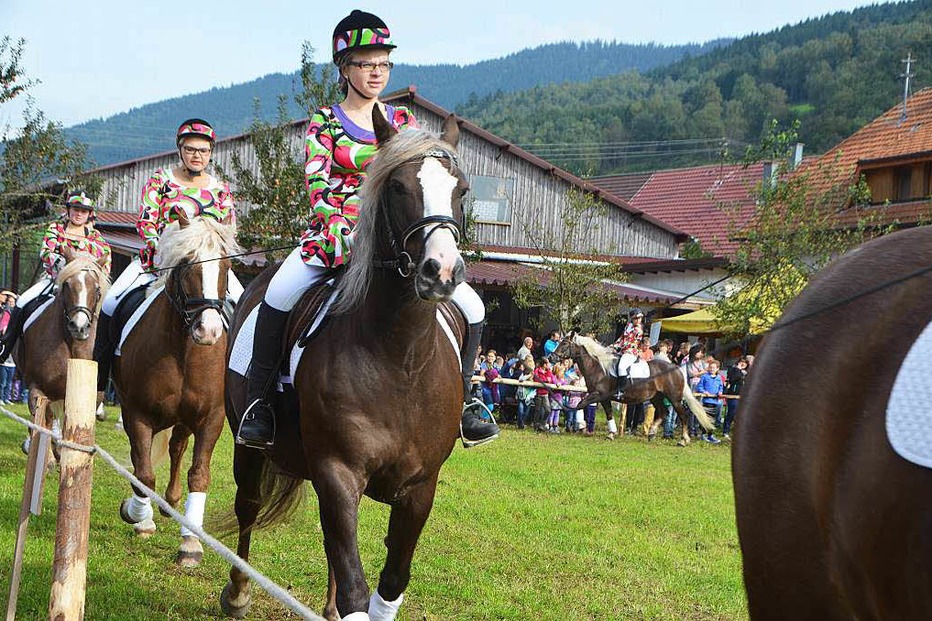 Beste Spielothek in Elzach finden Beste Spielothek in Elzach finden