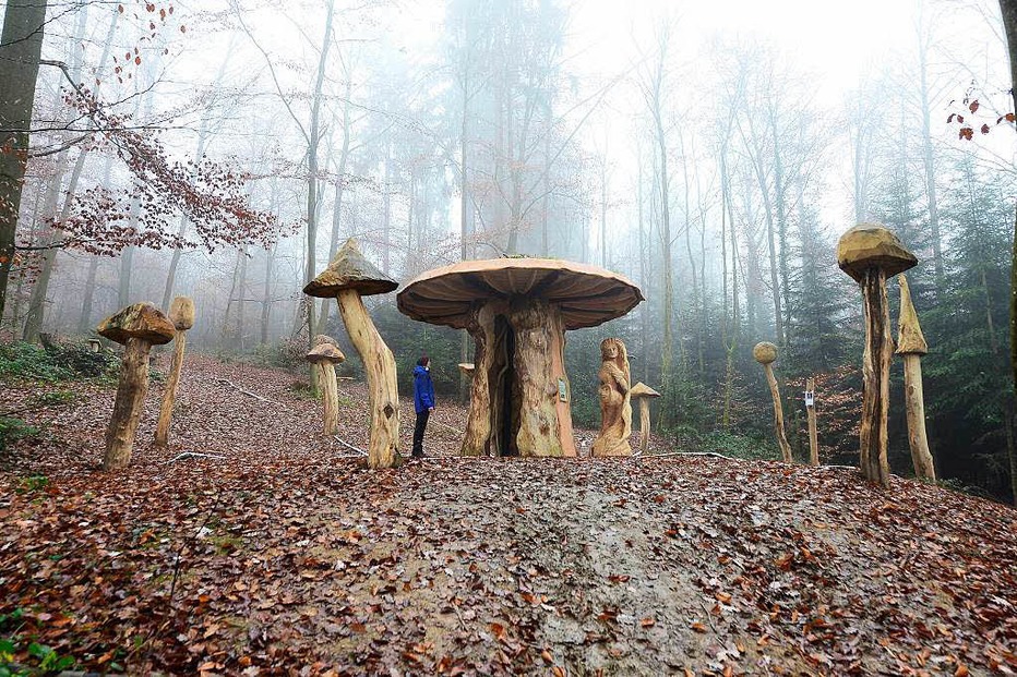 Mycelium Pilzlehrpfad - Freiburg Mycelium Pilzlehrpfad - Freiburg