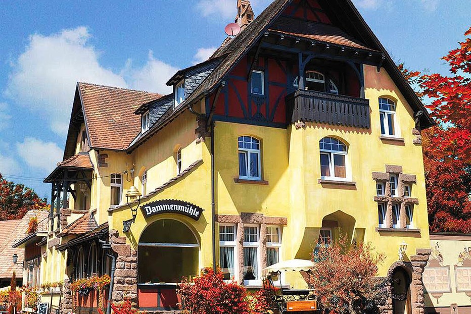 Kunst- und Kulturforum Dammenmühle - Lahr Kunst- und Kulturforum Dammenmühle - Lahr