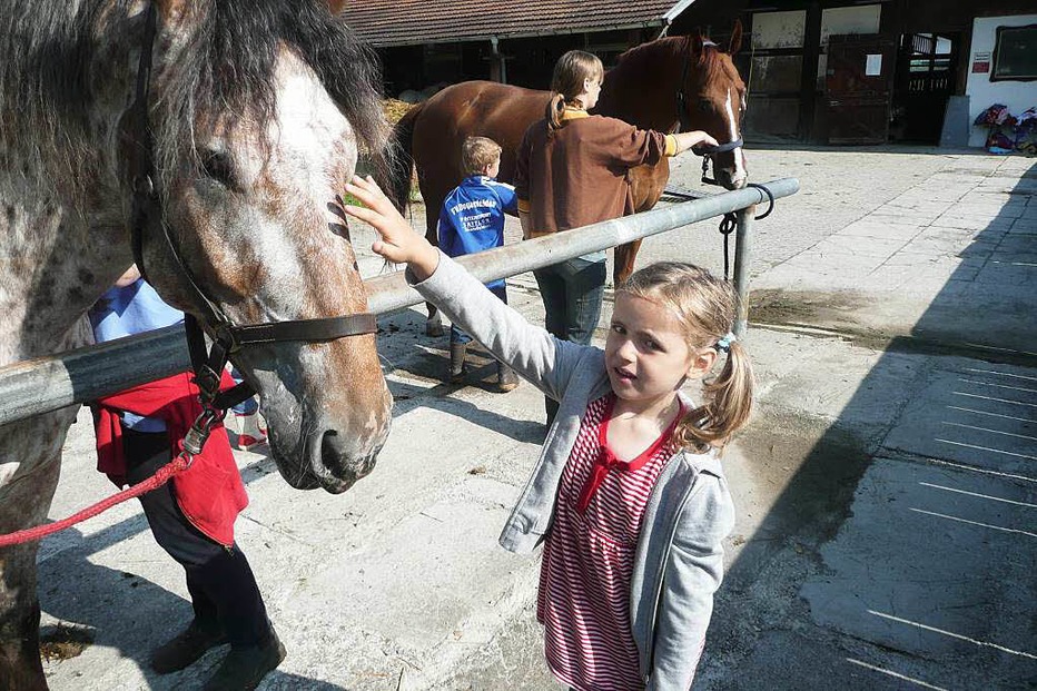 Beste Spielothek in Kümbdchen finden Beste Spielothek in Kümbdchen finden