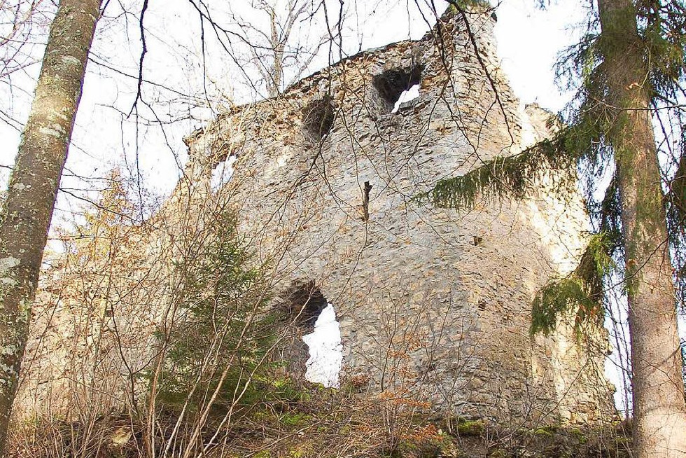 Burg NeuTannegg Bonndorf Badische Zeitung TICKET