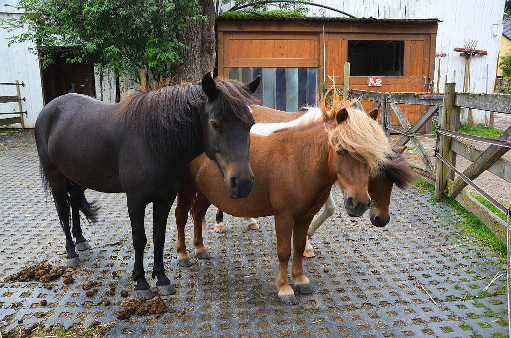Beste Spielothek in Himmelreich finden Beste Spielothek in Himmelreich finden