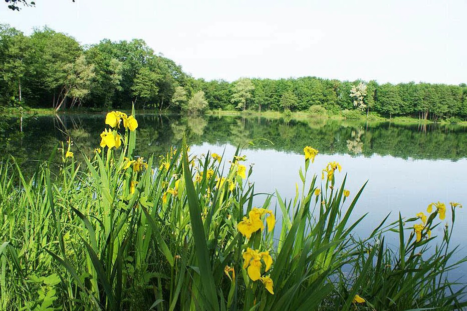 Kaibenlache-Baggersee Nimburg - Teningen Kaibenlache-Baggersee Nimburg - Teningen