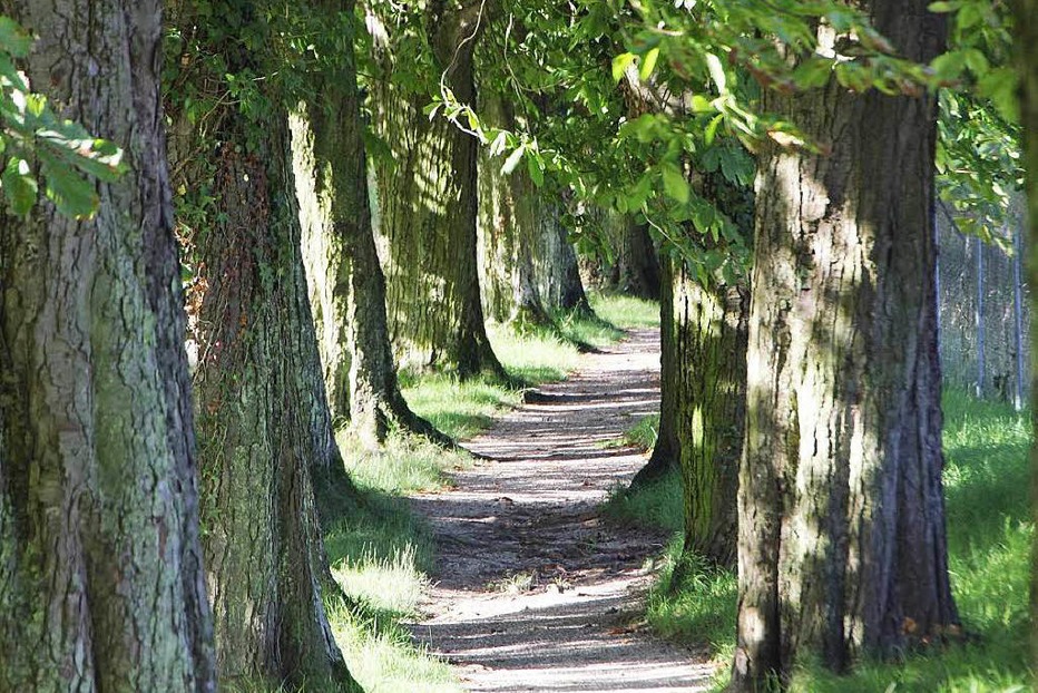 Beste Spielothek in Katharinenberg finden Beste Spielothek in Katharinenberg finden
