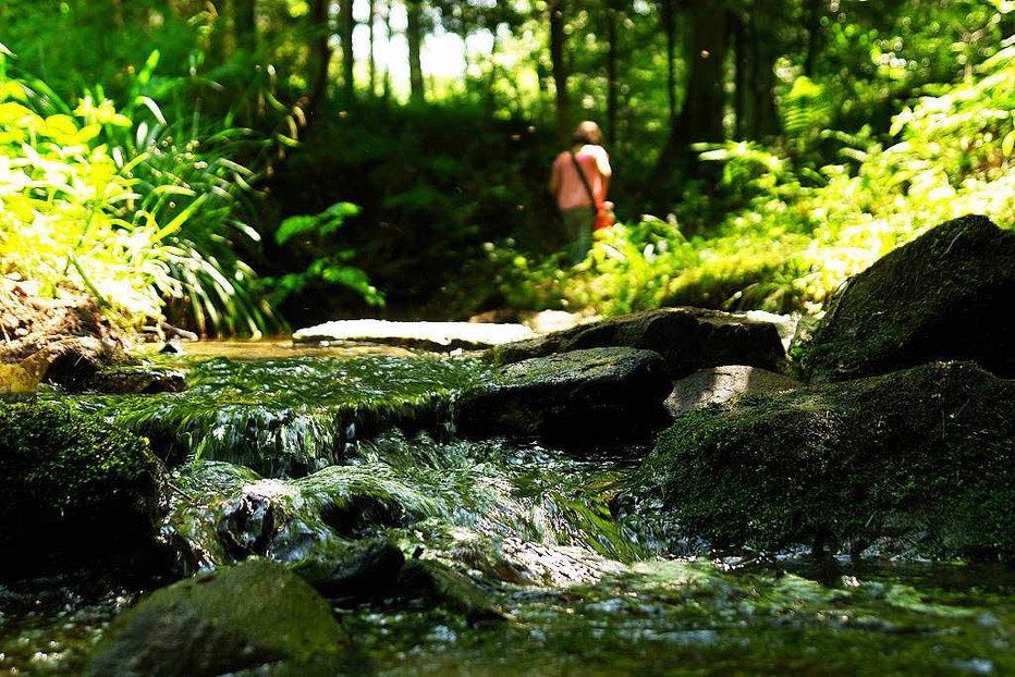 Wasserpfad Sulzbachtal - Lahr Wasserpfad Sulzbachtal - Lahr