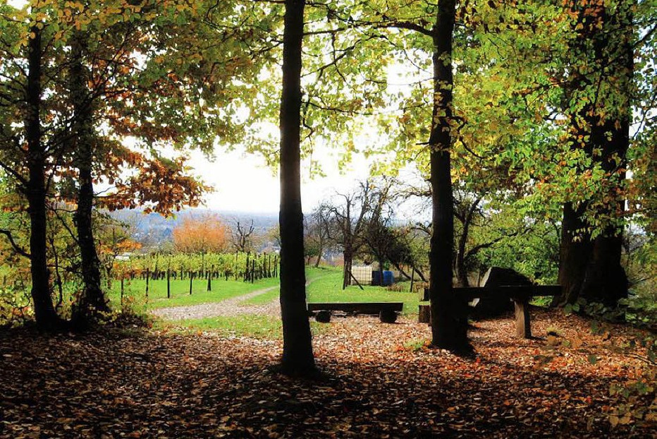 Grillplatz Wilhelmshöhe bei Windenreute - Emmendingen Grillplatz Wilhelmshöhe bei Windenreute - Emmendingen
