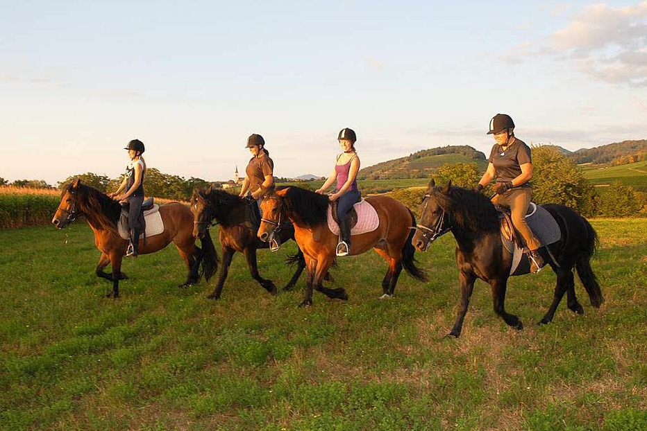 Beste Spielothek in Plan-les-Ouates finden Beste Spielothek in Plan-les-Ouates finden