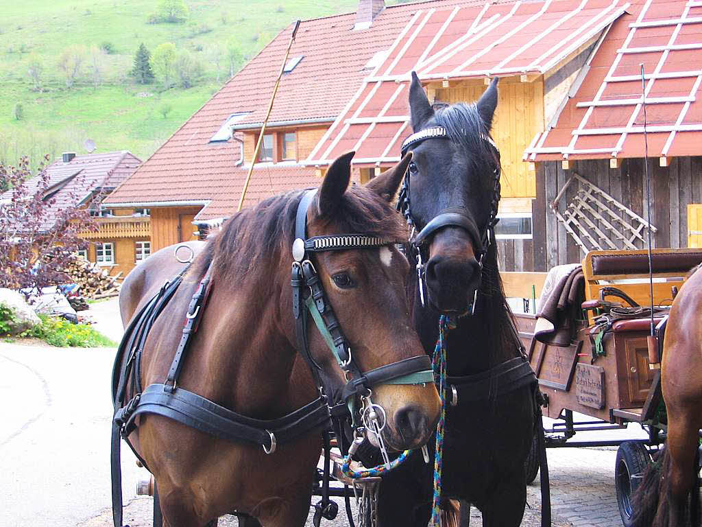 Beste Spielothek in Badhaus finden Beste Spielothek in Badhaus finden