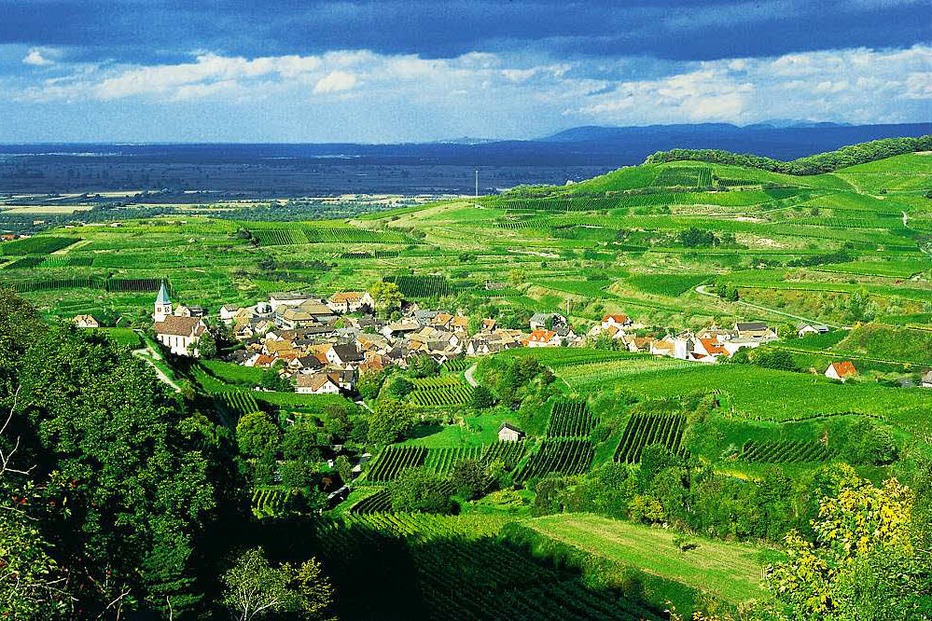 Winzergenossenschaft Kiechlinsbergen - Endingen Winzergenossenschaft Kiechlinsbergen - Endingen