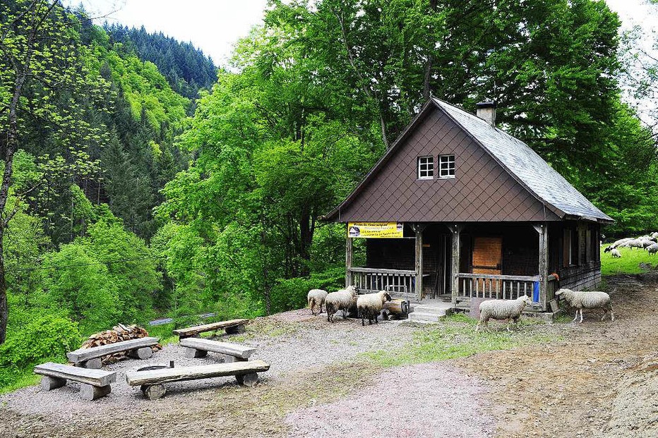 Beste Spielothek in Kappel am Krappfeld finden Beste Spielothek in Kappel am Krappfeld finden