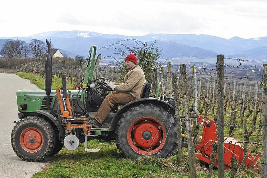 Ökologisches Weingut Vorgrimmler (Munzingen) - Freiburg Ökologisches Weingut Vorgrimmler (Munzingen) - Freiburg