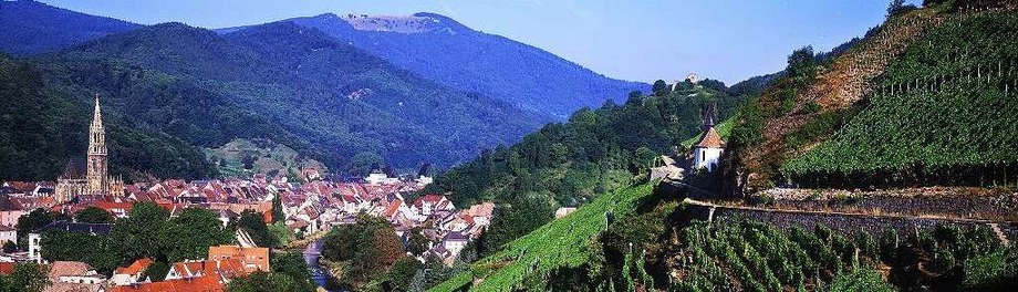 Ausflüge im Elsass Ausflüge im Elsass