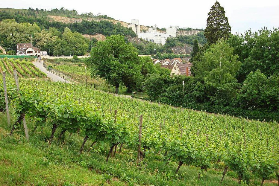 Weingut Kalkwerk Istein - Efringen-Kirchen Weingut Kalkwerk Istein - Efringen-Kirchen