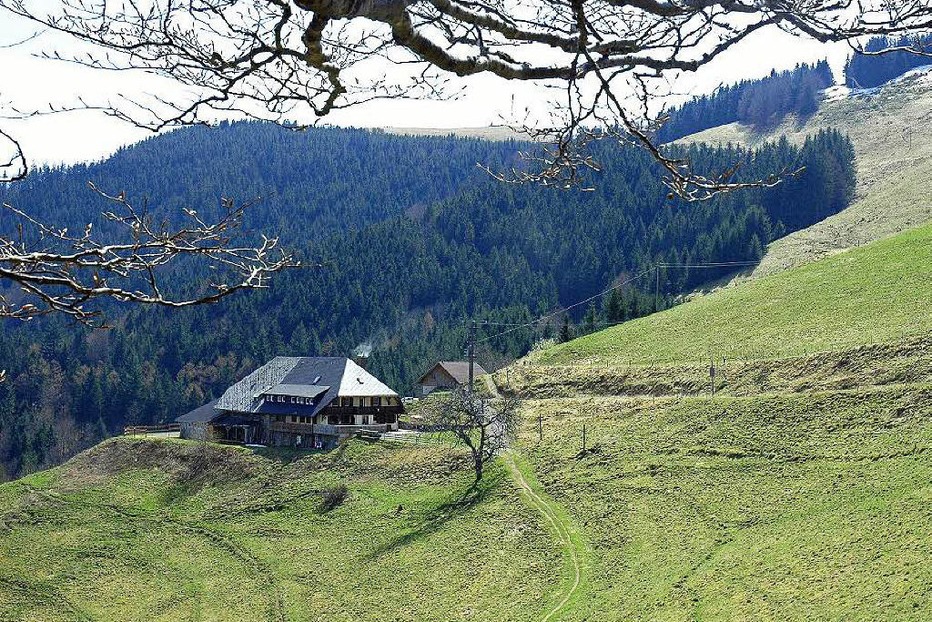 Beste Spielothek in Falkensteig finden Beste Spielothek in Falkensteig finden