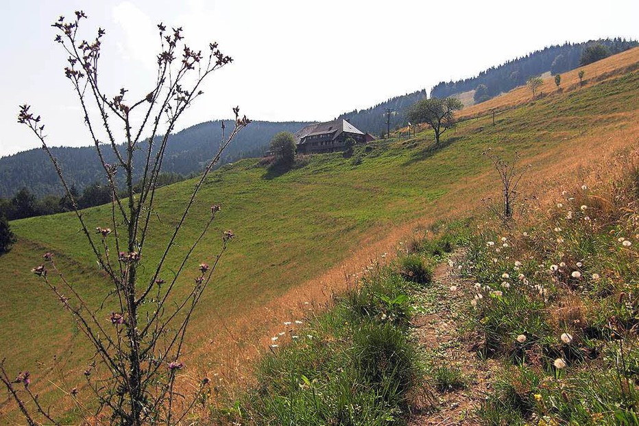 Beste Spielothek in Langenaltheim finden Beste Spielothek in Langenaltheim finden