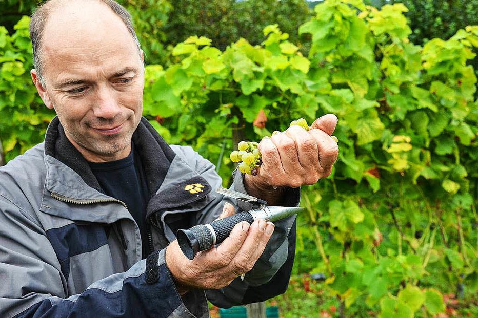 Weinhaus und Weingut Landmann - Staufen Weinhaus und Weingut Landmann - Staufen