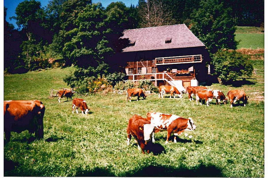 Öhlermühle in der Schildwende (Titisee) - Titisee-Neustadt Öhlermühle in der Schildwende (Titisee) - Titisee-Neustadt