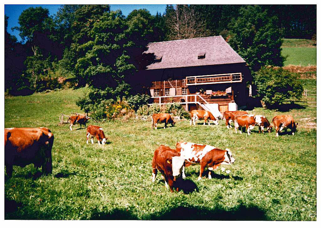 Beste Spielothek in Schiltach finden Beste Spielothek in Schiltach finden