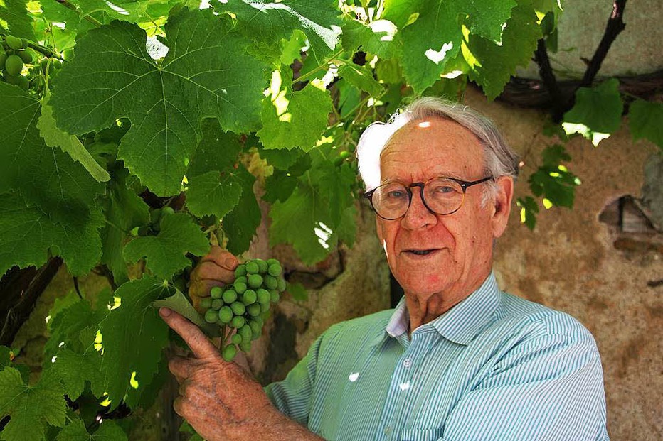 Weingut Köpfer (Grunern) - Staufen Weingut Köpfer (Grunern) - Staufen