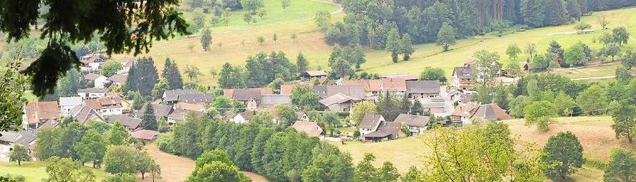 Unterwegs mit: Rundgänge mit Steinens Ortsvorstehern Unterwegs mit: Rundgänge mit Steinens Ortsvorstehern