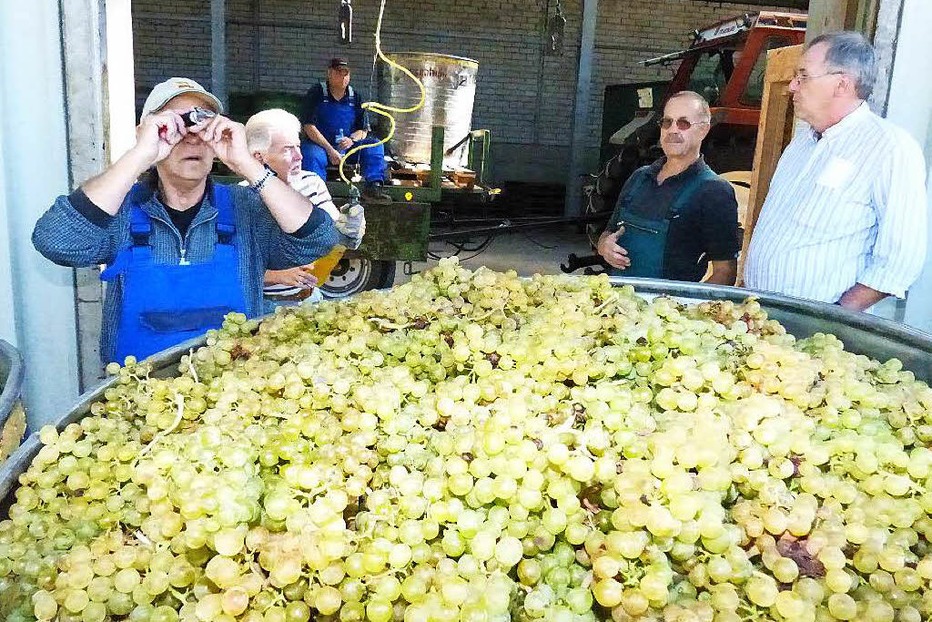 Winzerhalle der Winzergenossenschaft - Friesenheim Winzerhalle der Winzergenossenschaft - Friesenheim