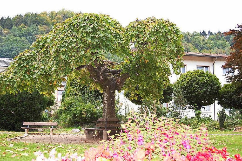 Zeller Stadtpark - Zell im Wiesental Zeller Stadtpark - Zell im Wiesental