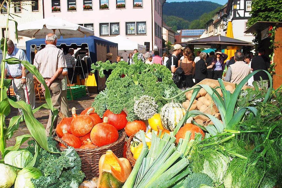 Marktplatz - Waldkirch Marktplatz - Waldkirch