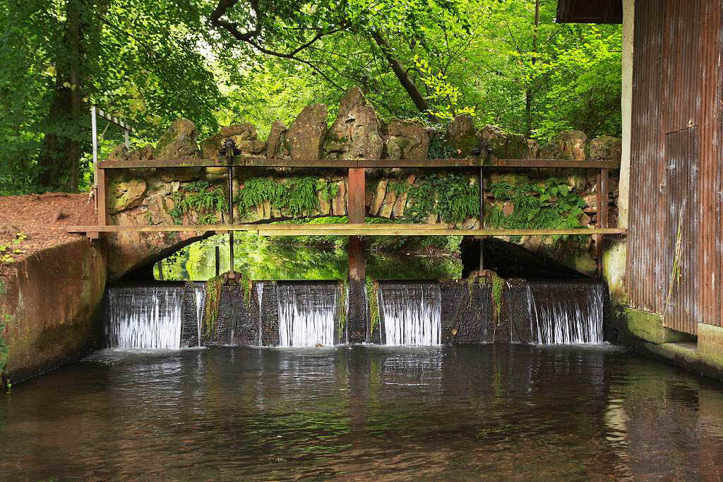 Schlosspark Und Englischer Garten Hugstetten March Badische