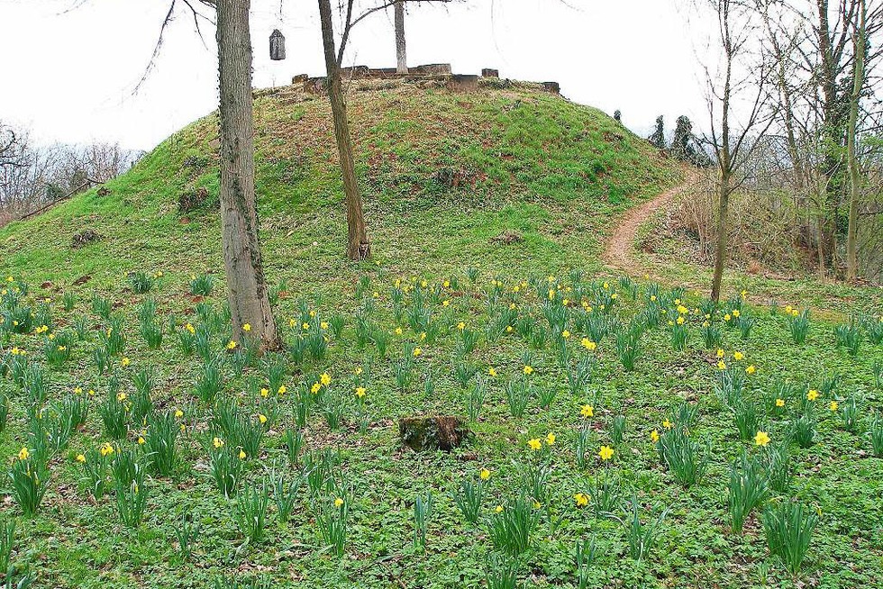 Schlosspark Und Englischer Garten Hugstetten March Badische