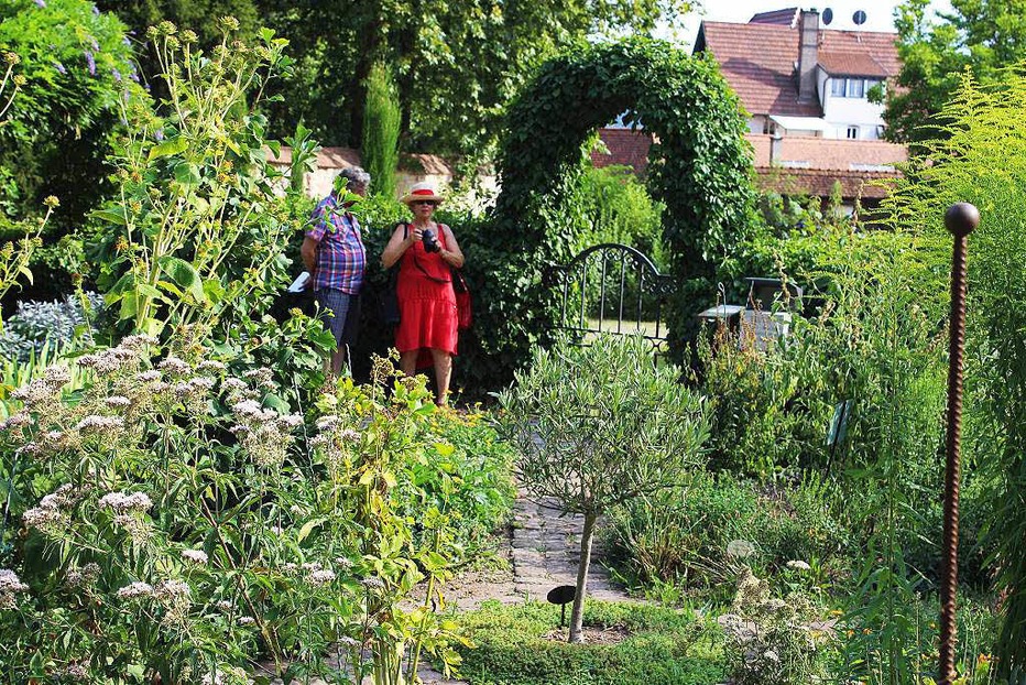 Kräutergarten Kloster Gengenbach - Gengenbach Kräutergarten Kloster Gengenbach - Gengenbach