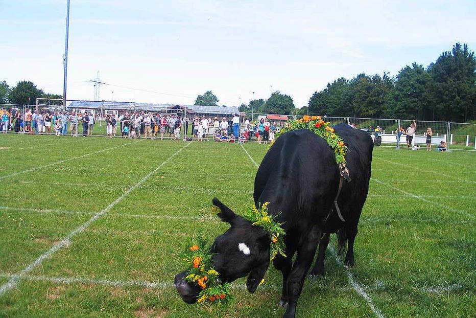Sportplatz - Eichstetten Sportplatz - Eichstetten