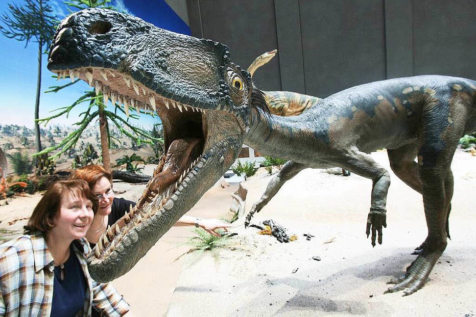 Staatliches Museum für Naturkunde am Löwentor - Stuttgart Staatliches Museum für Naturkunde am Löwentor - Stuttgart