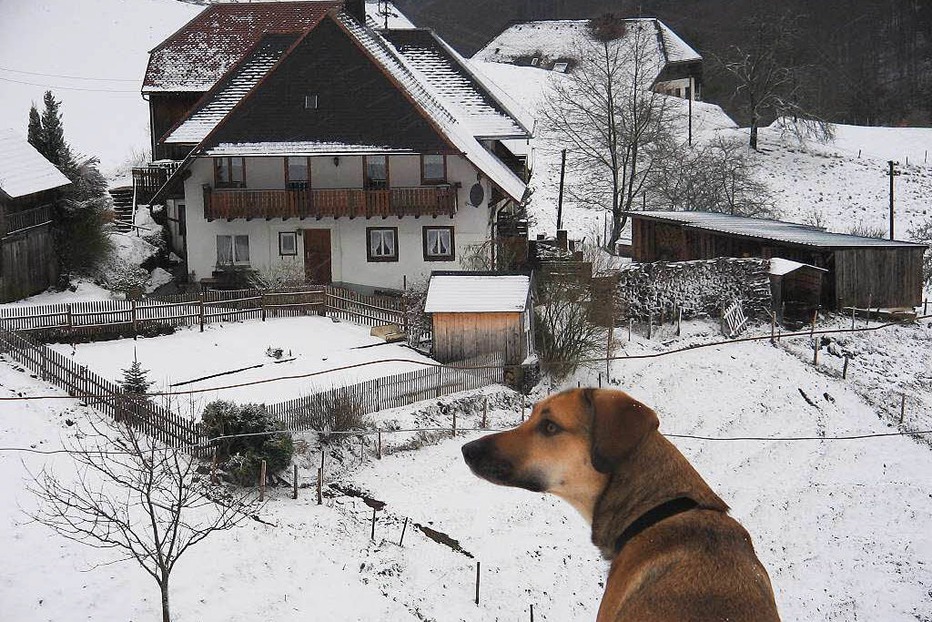 Berggaststätte Kohlerhof - Ehrenkirchen Berggaststätte Kohlerhof - Ehrenkirchen