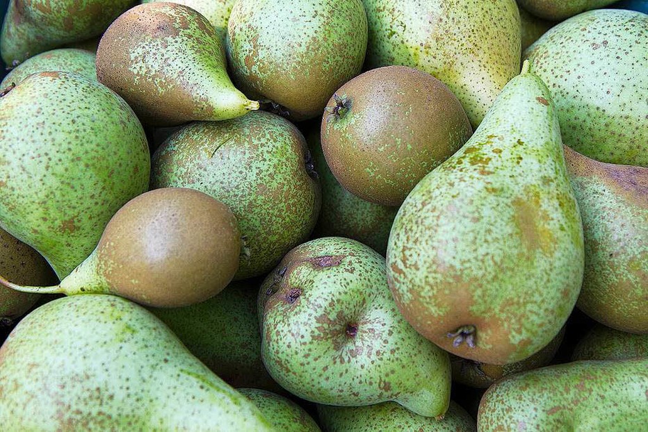 Obstbau Brennerei Lupberger (Kollmarsreute) - Emmendingen Obstbau Brennerei Lupberger (Kollmarsreute) - Emmendingen
