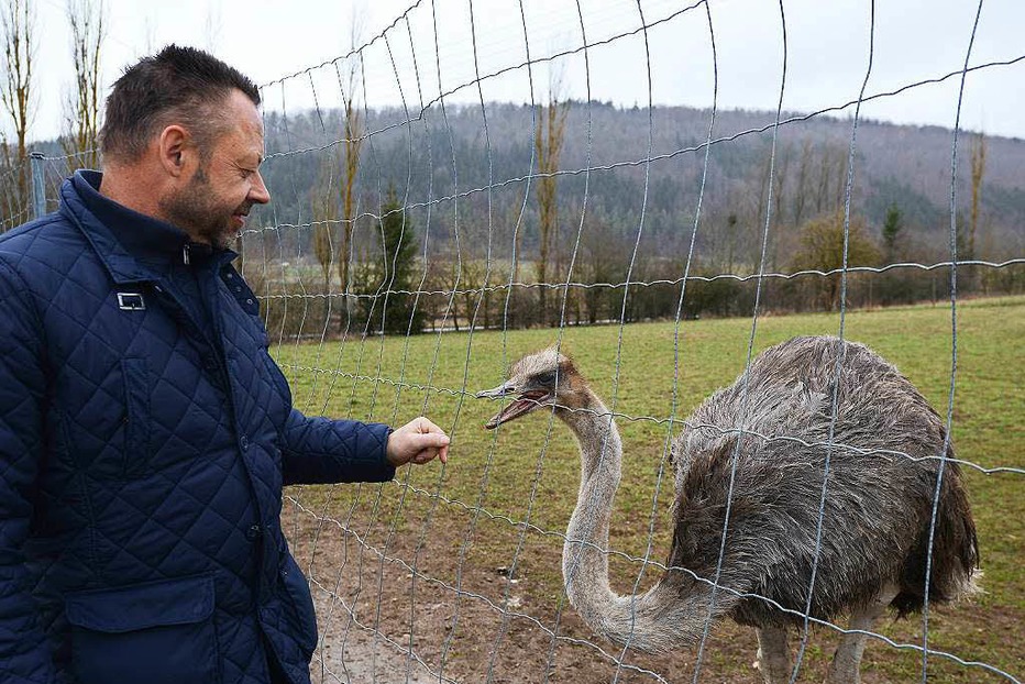 Straußenfarm Steppacher Hof - Blumberg Straußenfarm Steppacher Hof - Blumberg