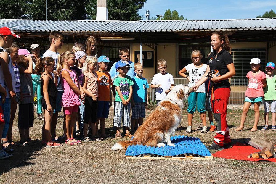 Vereinsheim Verein für Deutsche Schäferhunde - Herbolzheim Vereinsheim Verein für Deutsche Schäferhunde - Herbolzheim