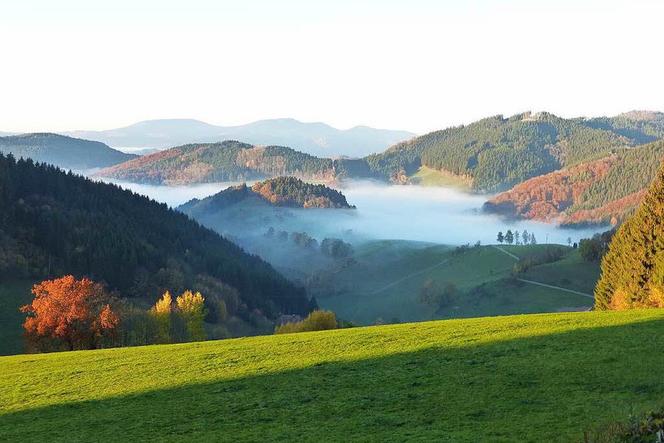 Höhengasthaus Landwassereck (Oberprechtal) - Elzach Höhengasthaus Landwassereck (Oberprechtal) - Elzach
