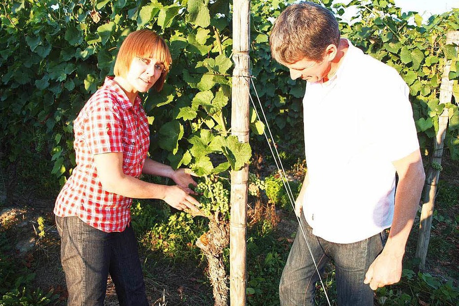 Weingut Mößner (Köndringen) - Teningen Weingut Mößner (Köndringen) - Teningen