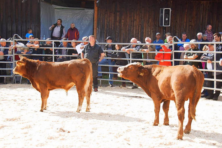 Weideschuppen Wies - Kleines Wiesental Weideschuppen Wies - Kleines Wiesental