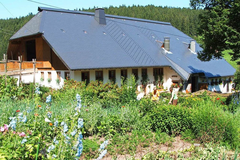 Steinbachhof - St. Märgen Steinbachhof - St. Märgen