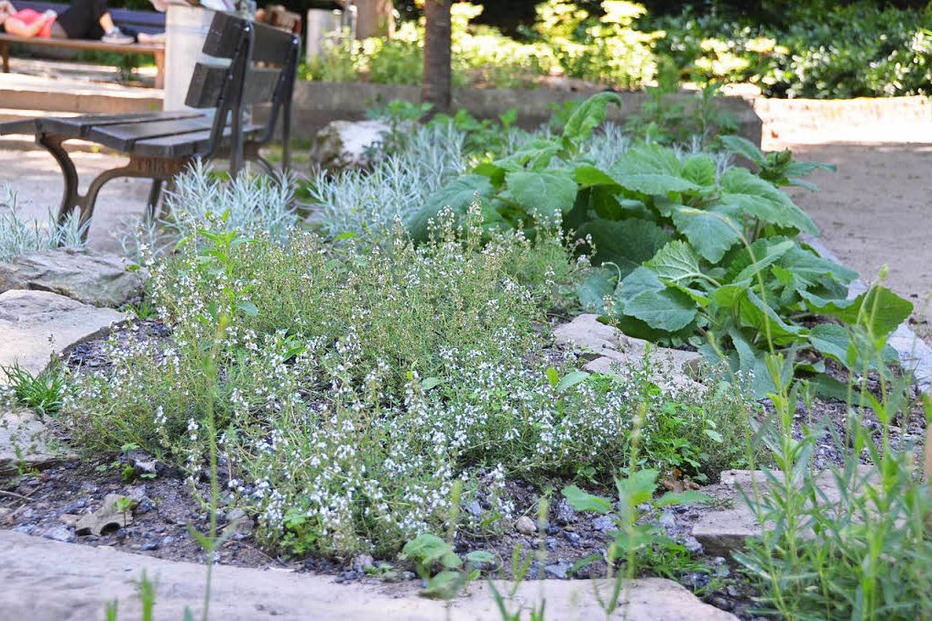 Urban Gardening im Rosenfelspark - Lörrach Urban Gardening im Rosenfelspark - Lörrach