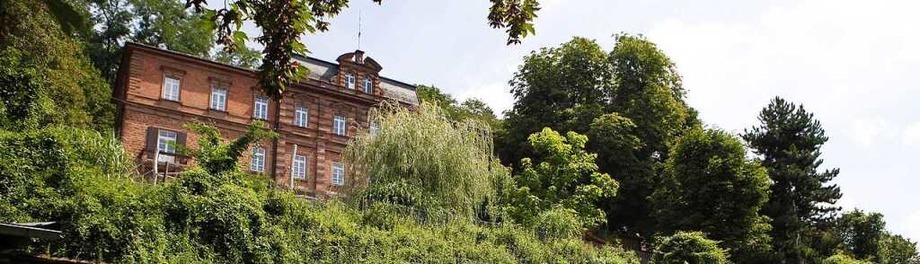 Die Diskussion um eine Bebauung des Lahrer Altenbergs Die Diskussion um eine Bebauung des Lahrer Altenbergs