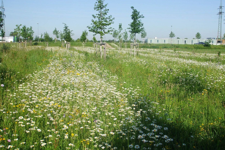 Gartenanlage Im Entenschwumm (Haltingen) - Weil am Rhein Gartenanlage Im Entenschwumm (Haltingen) - Weil am Rhein