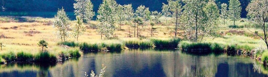BZ-Serie: Der Natur auf der Spur BZ-Serie: Der Natur auf der Spur